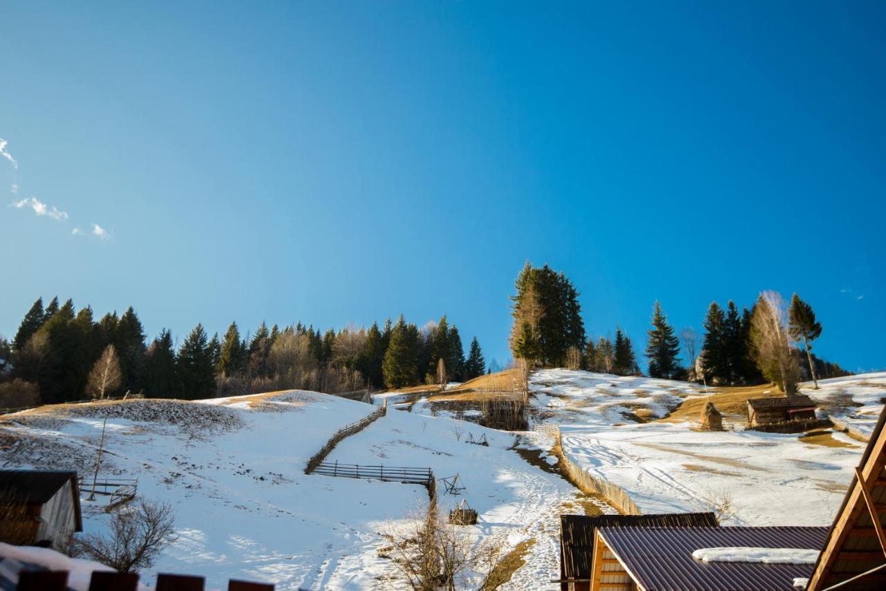 Vila Moecel Moeciu De Sus Bagian luar foto