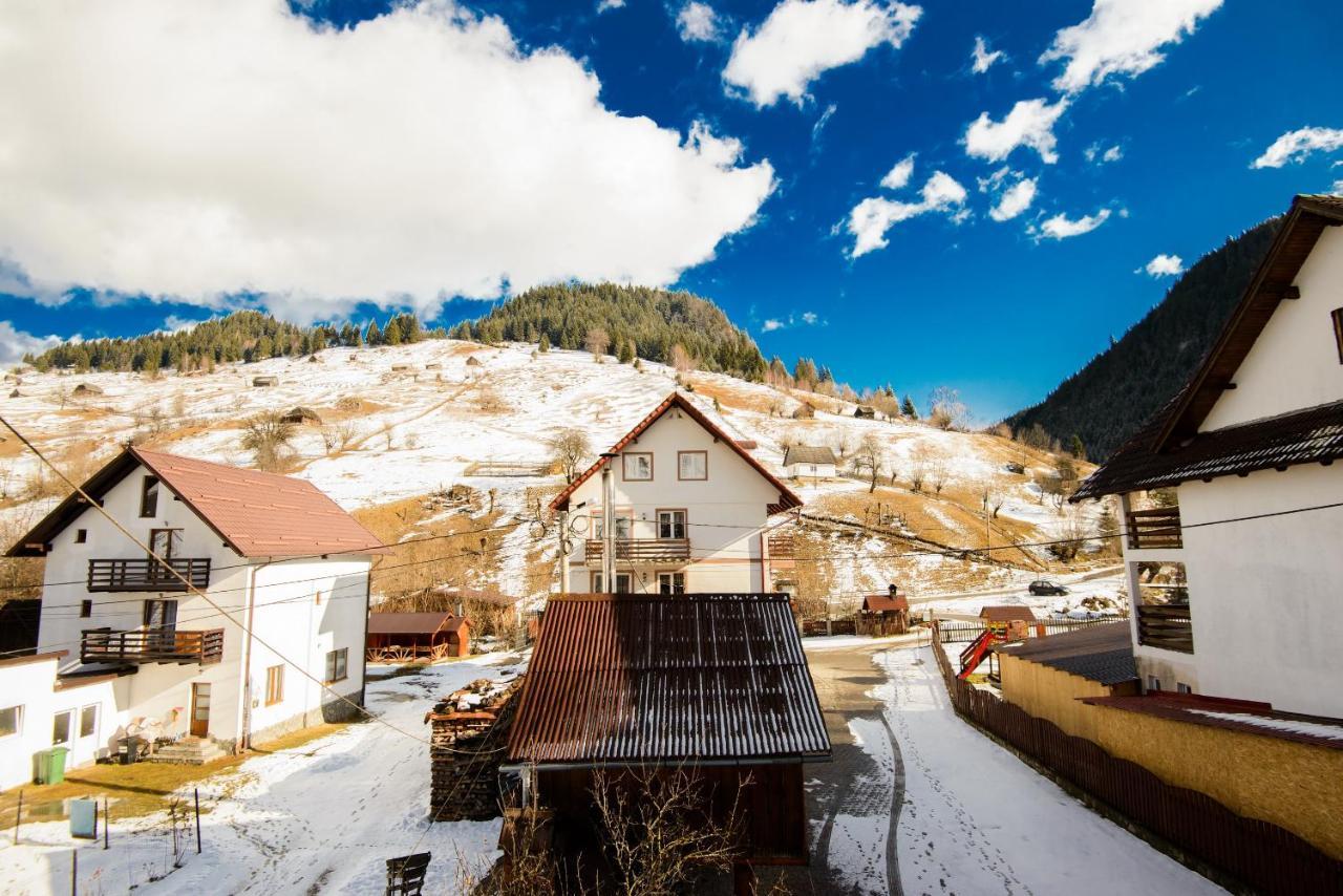 Vila Moecel Moeciu De Sus Bagian luar foto
