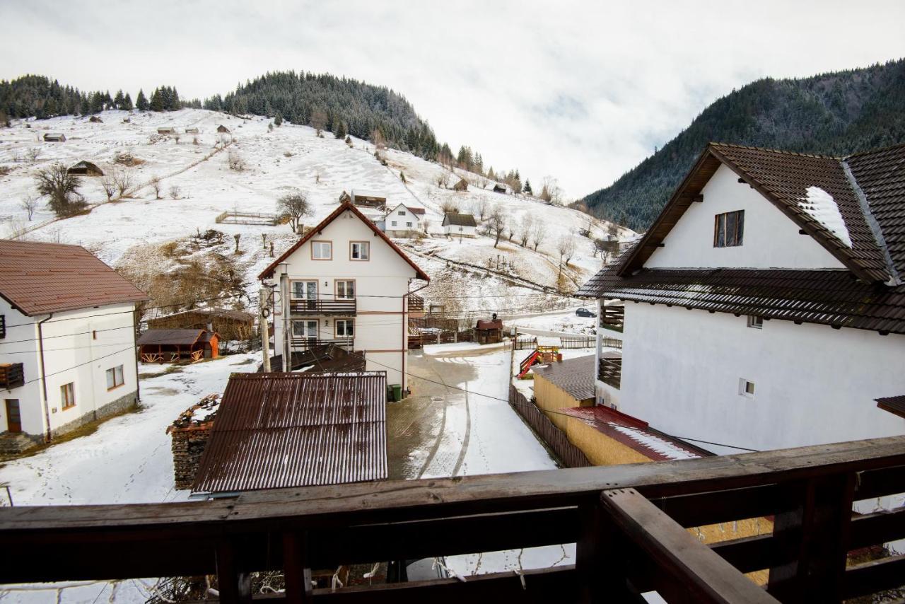 Vila Moecel Moeciu De Sus Bagian luar foto