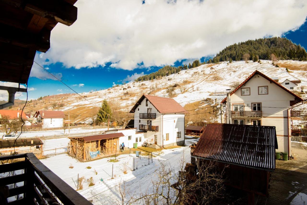 Vila Moecel Moeciu De Sus Bagian luar foto
